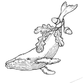 фантастические киты