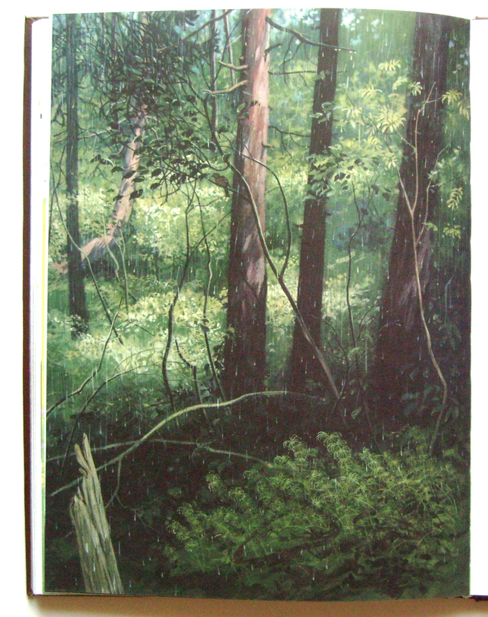 Дождь в лесу