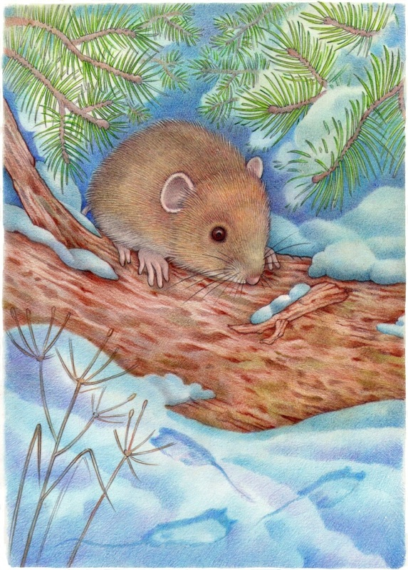 Загадочные следы