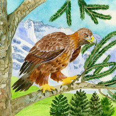 Орел в горах