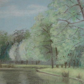 Лето В Питере. Полдень. На берегу пруда.