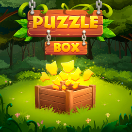 Puzzle box