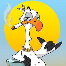 Чайка на районе