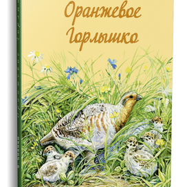 "Оранжевое Горлышко" В. Бианки