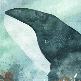 Project "Whalien 52 Hz"