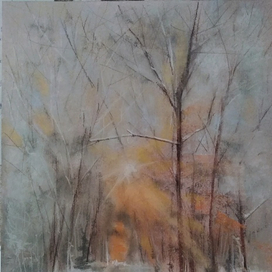 Утро в лесу