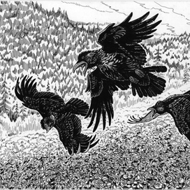 Тревожный сон друга