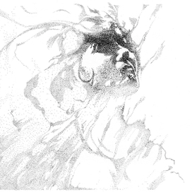 Портрет актрисы