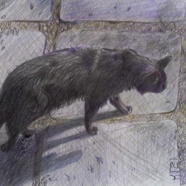 "Опять выгнали..."