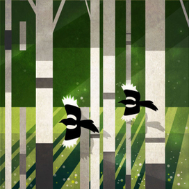 следуй за мной...