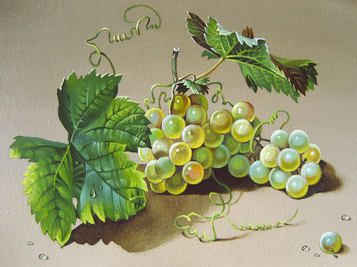 Ветка  винограда
