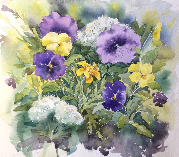 Петуньи и виолы