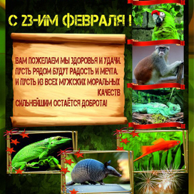 поздравительная открытка для сайта зоопарка