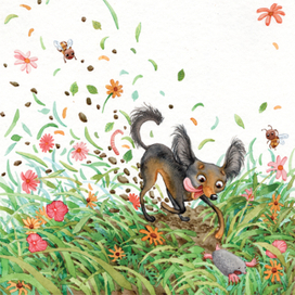 цветочные грядки