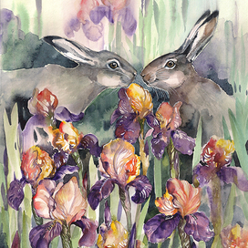 Свидание в ирисах