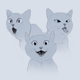 Забавные коты
