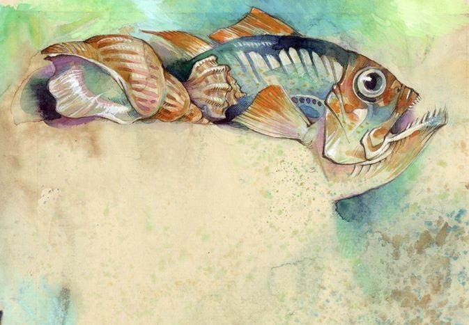 Диета Афродиты