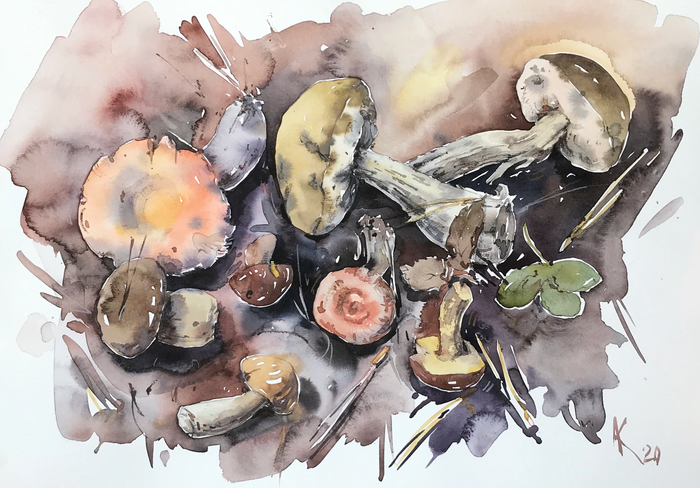 Грибная россыпь 