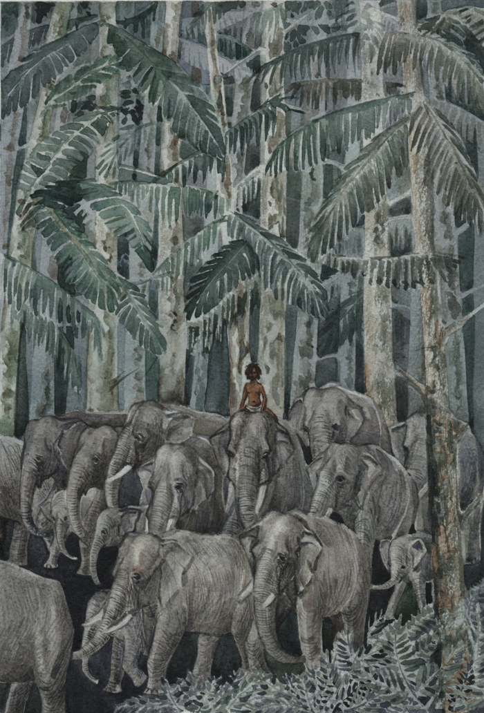 "Маленький Тумаи. Ночь. Дикие слоны"