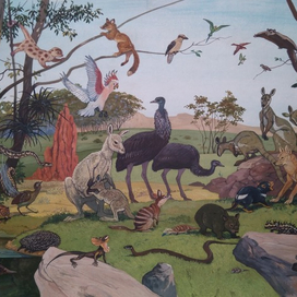 илл. из книги "На поиски животных" ( Австралия )