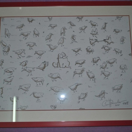 Иллюстрации