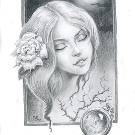 К стихотворению  Полночная Роза