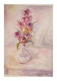 Прозрачные орхидеи