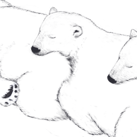 Белые медведи