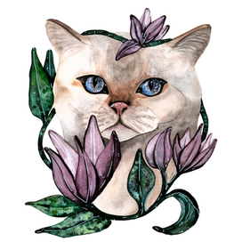 Кот "британец" бежевый