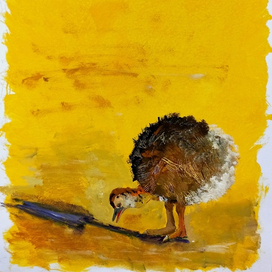 Страусенок