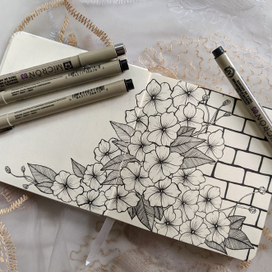 Нежные цветы