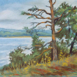 Деревья на берегу Волги