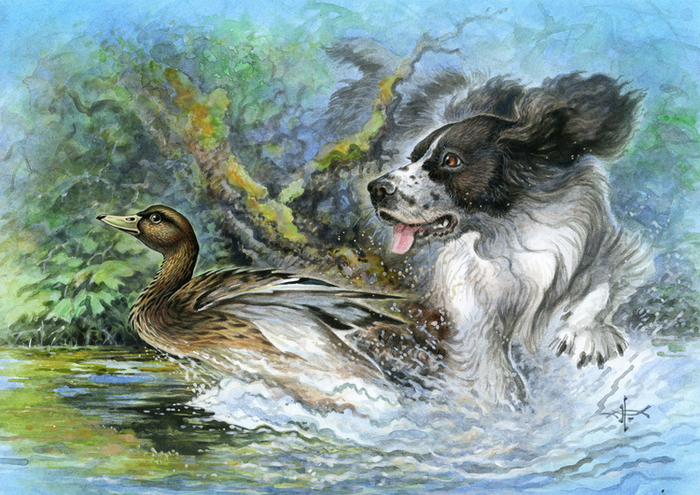 Птичья гончая.