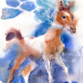 Жеребенок тонконогий