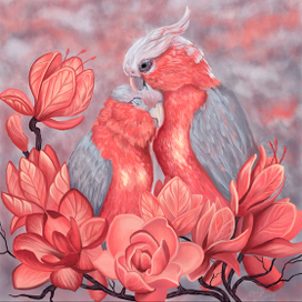 Попугайчики 