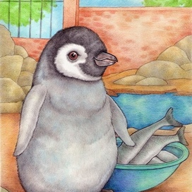 Пингвинёнок