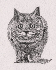 Спуганый бегемоктик