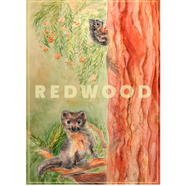 Жители Redwood 