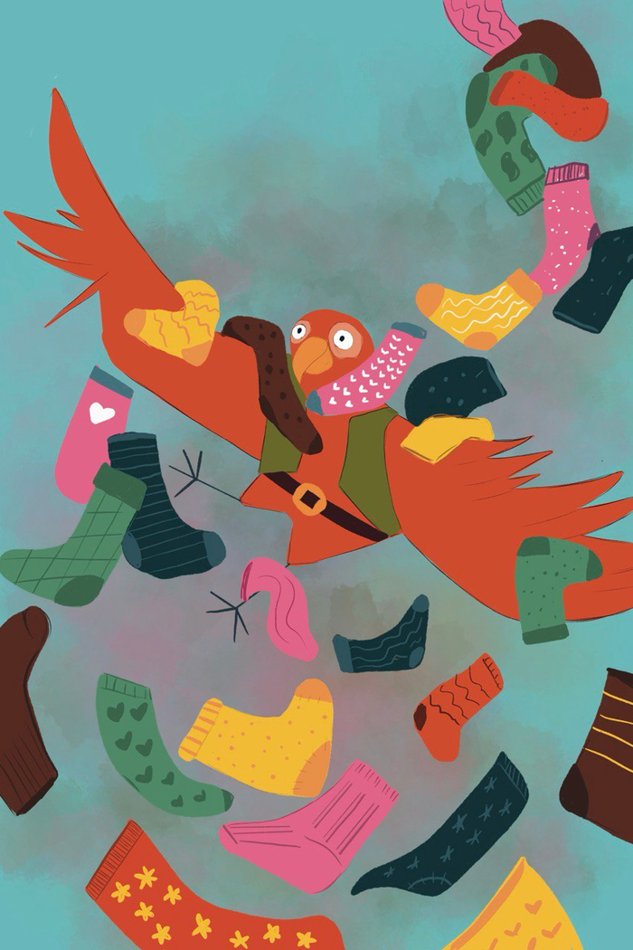 Глава 8. Буря из носков 