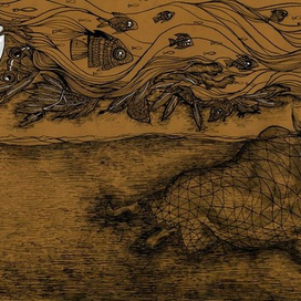 иллюстрация к книге