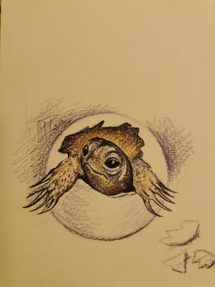 "Почему Луна улыбается" Бахревский В. И. 