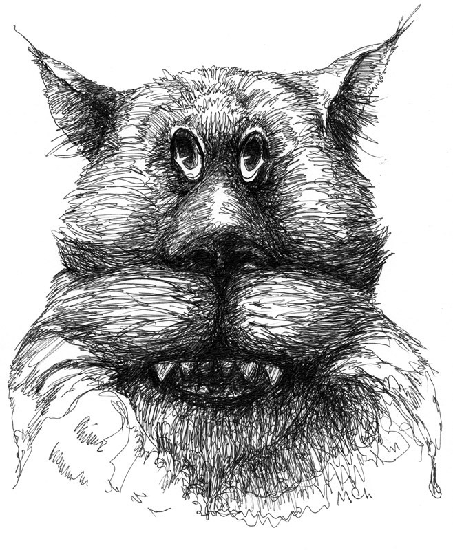 Неизвестный зверь