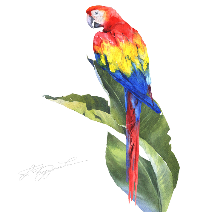 Пиастры, пиастры!