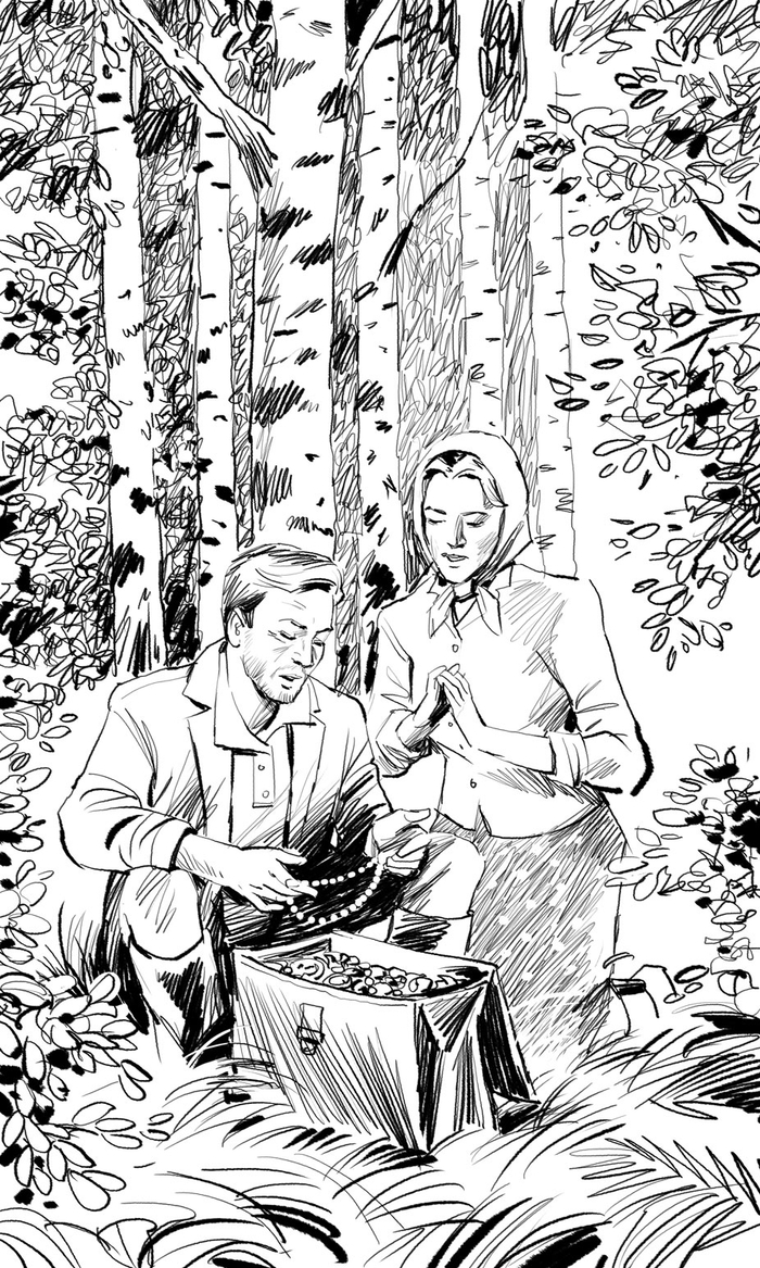 К книге Насибова "Долгий путь в лабиринте"