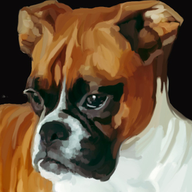 Рисунок по фотографии