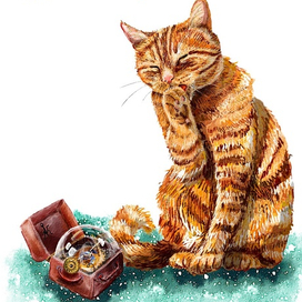 О чем мечтают коты?