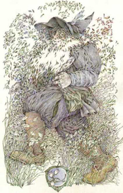 Властелин колец. Том Бомбадил.