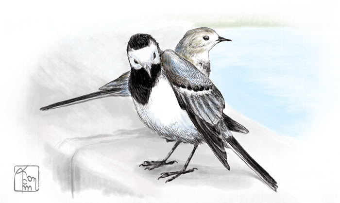 Послеобеденная сиеста