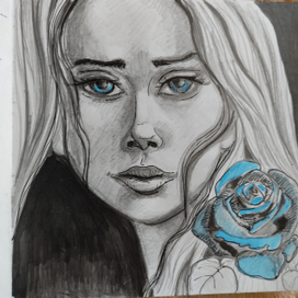 Голубая роза