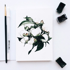 Белые пионы